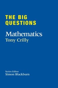 Big Questions: Mathematics (e-bok)