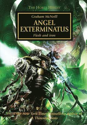 Angel Exterminatus (hftad)