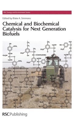 Chemical and Biochemical Catalysis for Next Generation Biofuels (inbunden)