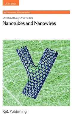Nanotubes and Nanowires (inbunden)