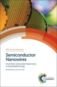 Semiconductor Nanowires (inbunden)