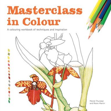 Masterclass in Colour (hftad)