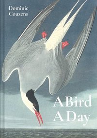 A Bird A Day (inbunden)