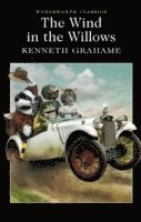 The Wind in the Willows (hftad)