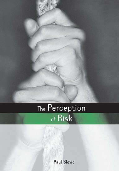 Perception of Risk (häftad)