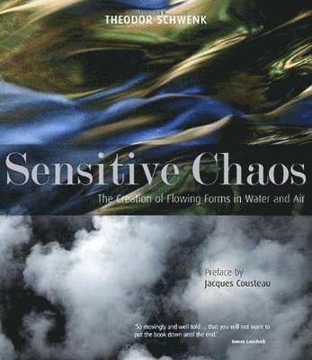 Sensitive Chaos (inbunden)