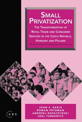 Small Privatization (inbunden)