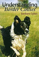 Understanding Border Collies (inbunden)
