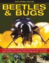 Exploring Nature: Beetles & Bugs