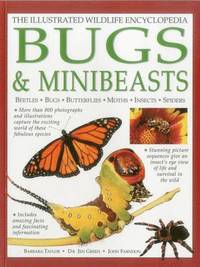 Illustrated Wildlife Encyclopedia: Bugs & Minibeasts (inbunden)