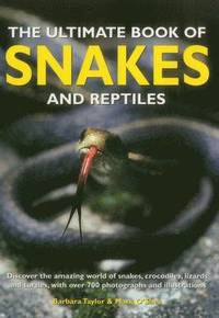 Ultimate Book of Snakes and Reptiles (hftad)
