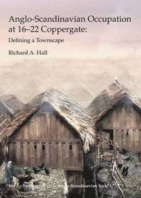 Anglo-Scandinavian Occupation at 16-22 Coppergate (hftad)