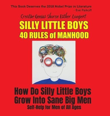 Silly Little Boys (hftad)