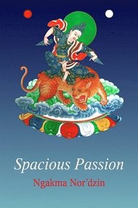 Spacious Passion (häftad)