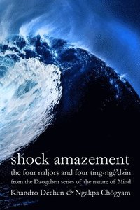 Shock Amazement (hftad)
