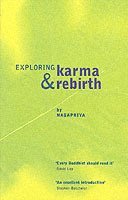Exploring Karma and Rebirth (hftad)