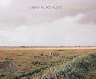 Landscapes 2001-2003 (häftad)