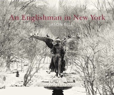 Englishman In New York (inbunden)