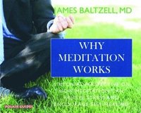 Why Meditation Works (häftad)