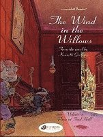 Wind in the Willows 4 - Panic at Toad Hall (inbunden)