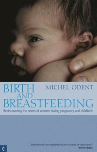 Birth and Breastfeeding (e-bok)