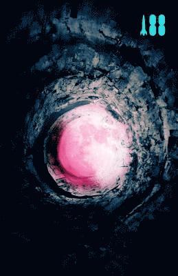 Pink Moon, A Story about Nick Drake (hftad)