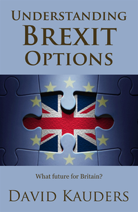 Understanding Brexit Options (e-bok)