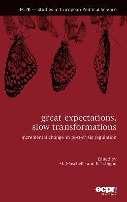 Great Expectations, Slow Transformations (inbunden)