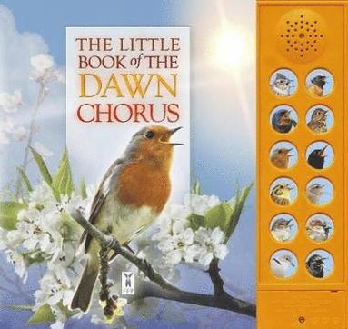 The Little Book of the Dawn Chorus (kartonnage)