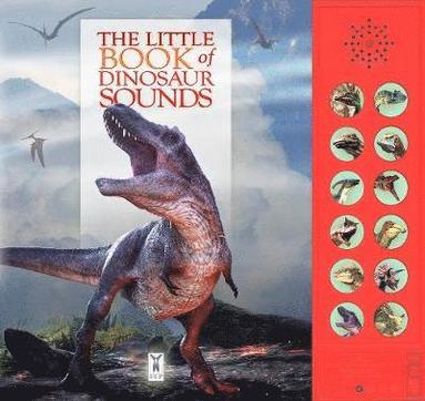 The Little Book of Dinosaur Sounds (kartonnage)