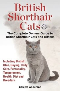 British Shorthair Cats The Complete Owners Guide To British