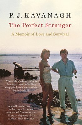 The Perfect Stranger (hftad)