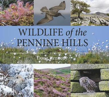 Wildlife of the Pennine Hills (inbunden)