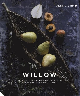 Willow (häftad)