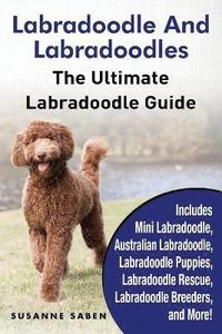 how much does a mini labradoodle cost