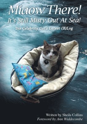 Miaow There! It's Still Misty Out At Sea! (hftad)