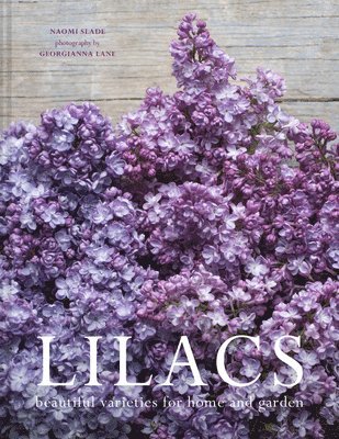 Lilacs (h�ftad)