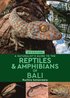 Naturalist's Guide to the Reptiles & Amphibians of Bali (2nd edition)