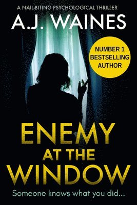 Enemy At The Window (hftad)