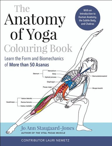 Anatomy of Yoga Colouring Book (h�ftad)