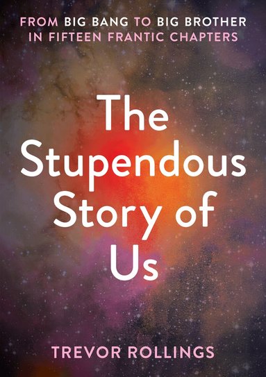 Stupendous Story of Us (h�ftad)