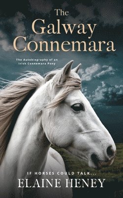 Galway Connemara ; The Autobiography of an Irish Connemara Pony. If horses could talk (häftad)