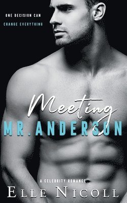 Meeting Mr. Anderson (häftad)