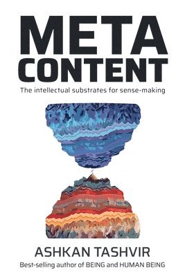 Metacontent (häftad)