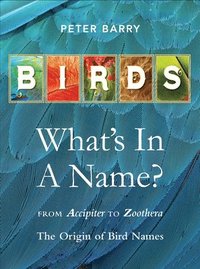 Birds: What's In A Name? (inbunden)