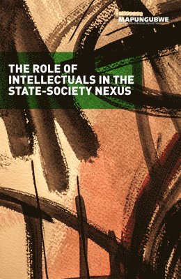 The Role of Intellectuals in the State-Society Nexus (inbunden)