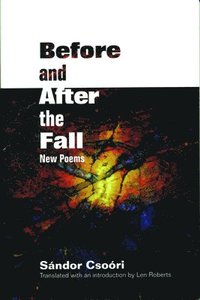 Before and After the Fall (inbunden)