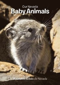 Our Nevada: Baby Animals (kartonnage)