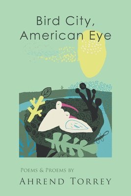Bird City, American Eye (häftad)
