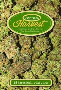 Marijuana Harvest (hftad)
